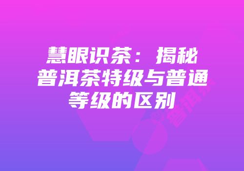 慧眼识茶：揭秘普洱茶特级与普通等级的区别