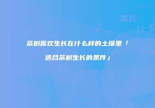茶树喜欢生长在什么样的土壤里「适合茶树生长的条件」