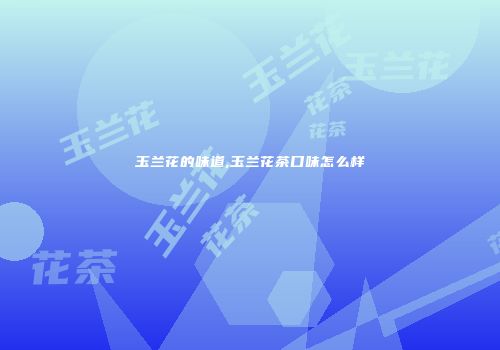 玉兰花的味道,玉兰花茶口味怎么样