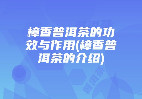 樟香普洱茶的功效与作用(樟香普洱茶的介绍)