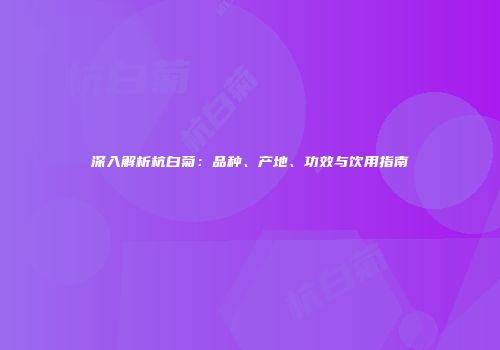 深入解析杭白菊：品种、产地、功效与饮用指南