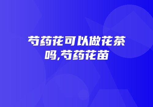 芍药花可以做花茶吗,芍药花苗