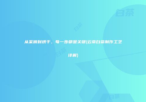 从采摘到烘干，每一步都是关键(云南白茶制作工艺详解)