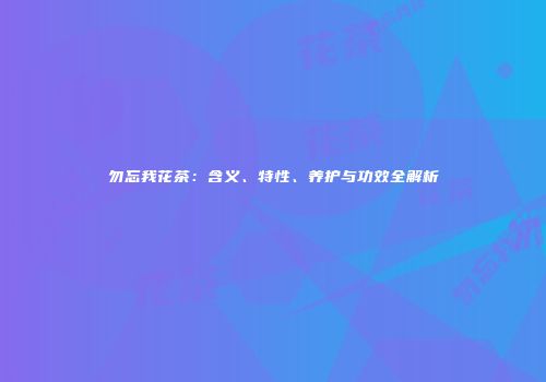 勿忘我花茶：含义、特性、养护与功效全解析