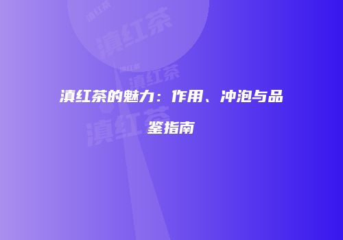 滇红茶的魅力：作用、冲泡与品鉴指南