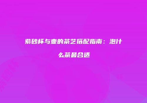 紫砂杯与壶的茶艺搭配指南：泡什么茶最合适