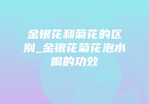 金银花和菊花的区别_金银花菊花泡水喝的功效
