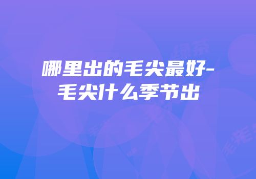 哪里出的毛尖最好-毛尖什么季节出
