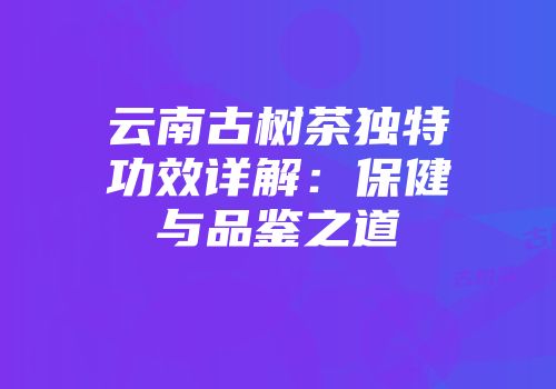 云南古树茶独特功效详解：保健与品鉴之道