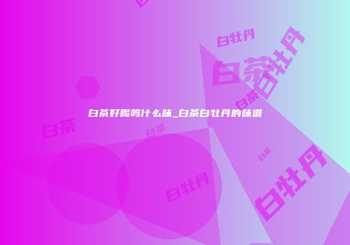 白茶好喝吗什么味_白茶白牡丹的味道
