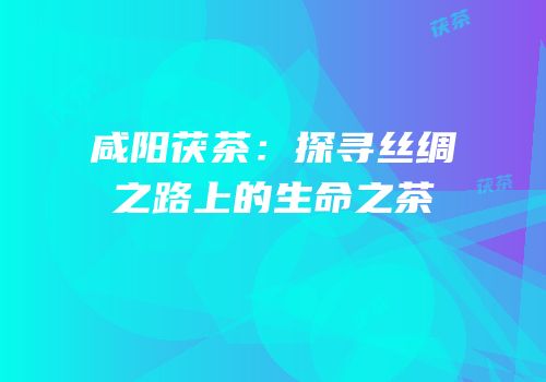 咸阳茯茶：探寻丝绸之路上的生命之茶