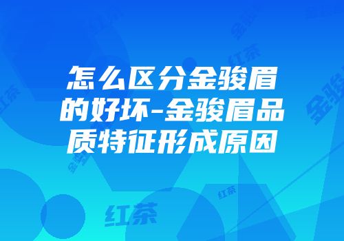 怎么区分金骏眉的好坏-金骏眉品质特征形成原因