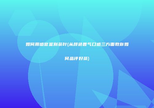 如何用感官鉴别茶叶(从颜色香气口感三方面教你如何品评好茶)