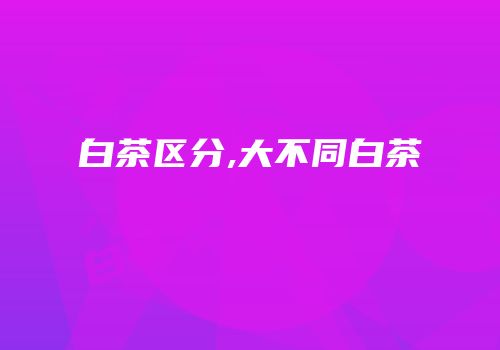 白茶区分,大不同白茶