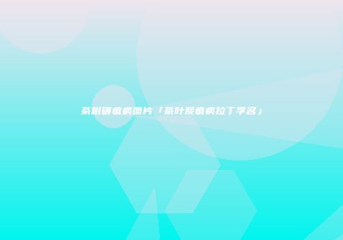 茶树碳疽病图片「茶叶炭疽病拉丁学名」