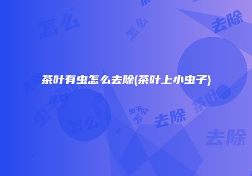 茶叶有虫怎么去除(茶叶上小虫子)