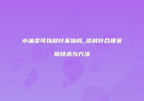 小油菜可以掰叶采摘吗_茶鲜叶合理采摘技术与方法