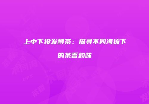 上中下投发酵茶：探寻不同海拔下的茶香韵味