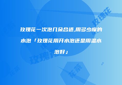 玫瑰花一次泡几朵合适,用多少度的水泡「玫瑰花用开水泡还是用温水泡好」