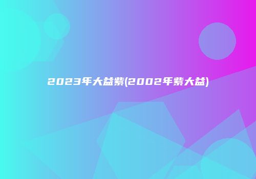 2023年大益紫(2002年紫大益)