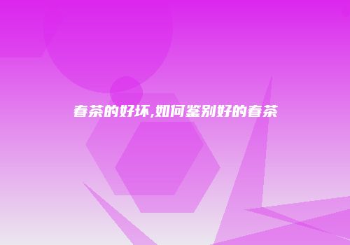 春茶的好坏,如何鉴别好的春茶