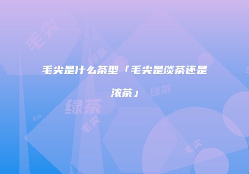 毛尖是什么茶型「毛尖是淡茶还是浓茶」