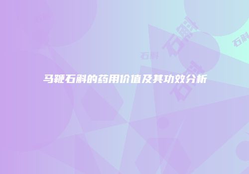 马鞭石斛的药用价值及其功效分析