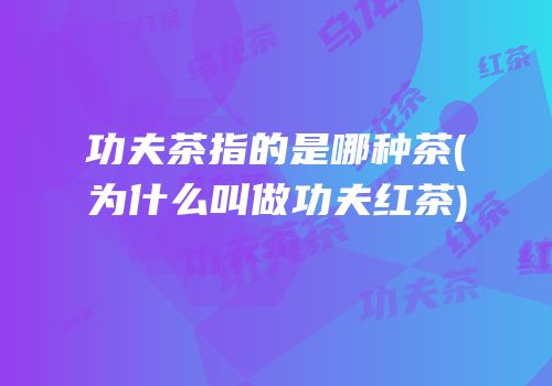 功夫茶指的是哪种茶(为什么叫做功夫红茶)