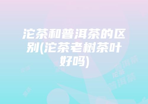沱茶和普洱茶的区别(沱茶老树茶叶好吗)