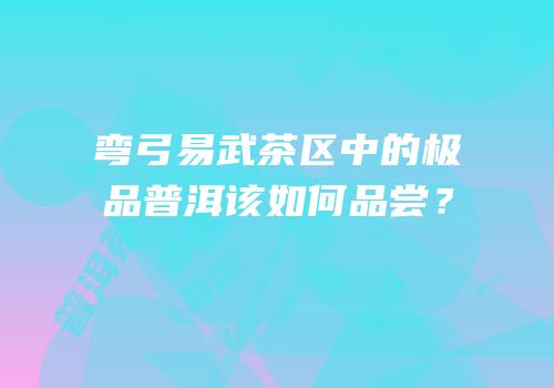 弯弓易武茶区中的极品普洱该如何品尝？