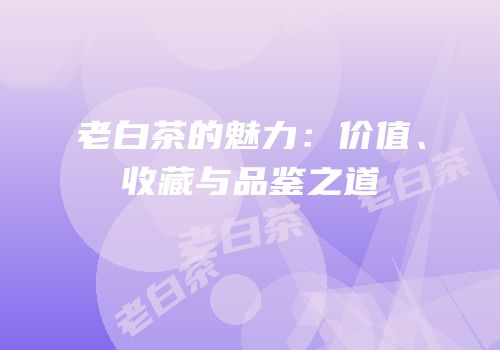 老白茶的魅力：价值、收藏与品鉴之道