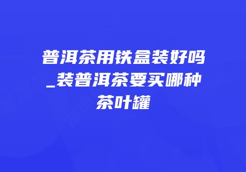 普洱茶用铁盒装好吗_装普洱茶要买哪种茶叶罐