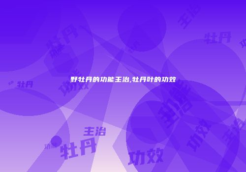 野牡丹的功能主治,牡丹叶的功效