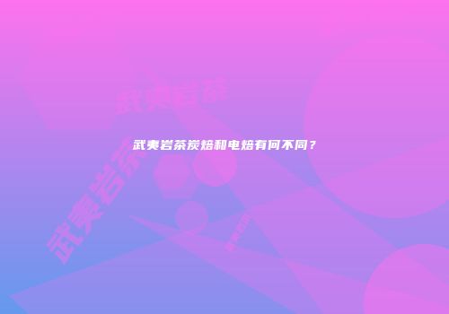 武夷岩茶炭焙和电焙有何不同？