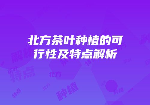 北方茶叶种植的可行性及特点解析
