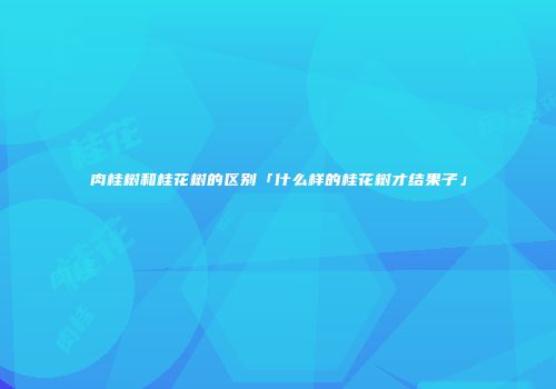 肉桂树和桂花树的区别「什么样的桂花树才结果子」
