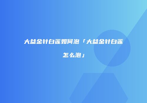 大益金针白莲如何泡「大益金针白莲怎么泡」