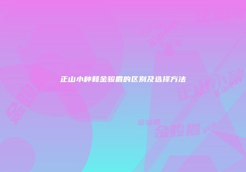 正山小种和金骏眉的区别及选择方法