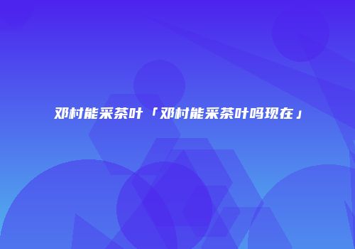 邓村能采茶叶「邓村能采茶叶吗现在」