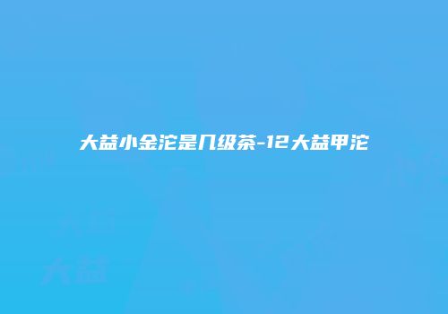 大益小金沱是几级茶-12大益甲沱