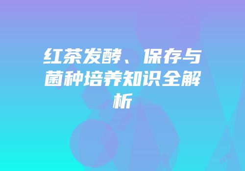 红茶发酵、保存与菌种培养知识全解析