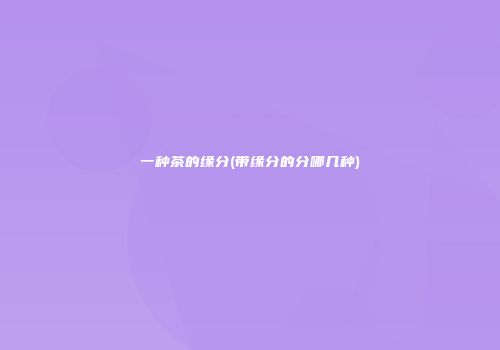 一种茶的缘分(带缘分的分哪几种)