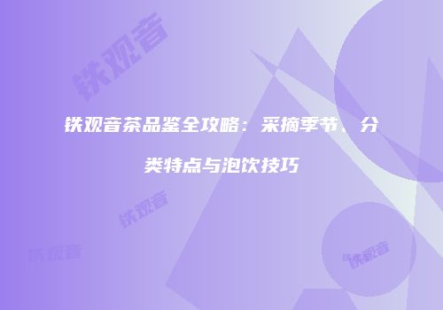 铁观音茶品鉴全攻略：采摘季节、分类特点与泡饮技巧