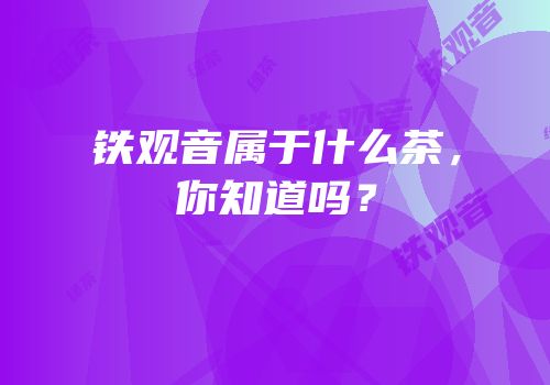 铁观音属于什么茶，你知道吗？
