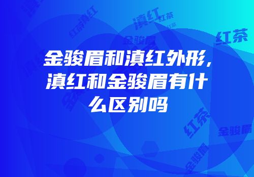 金骏眉和滇红外形,滇红和金骏眉有什么区别吗
