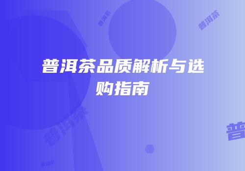 普洱茶品质解析与选购指南
