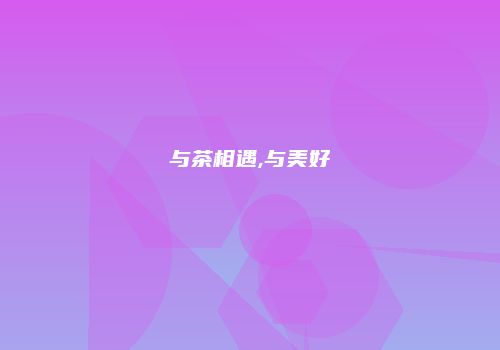 与茶相遇,与美好