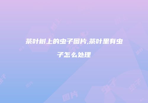 茶叶树上的虫子图片,茶叶里有虫子怎么处理
