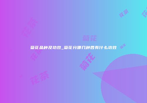 菊花品种及功效_菊花分哪几种各有什么功效