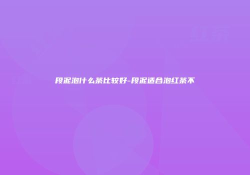 段泥泡什么茶比较好-段泥适合泡红茶不